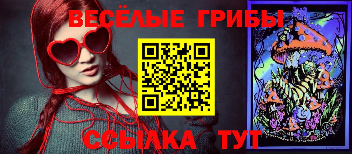 Галлюциногенные грибы Psilocybe  Вход с VPN  Соликамск 
